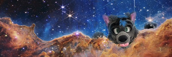 LJFletcherBSc Profile Banner