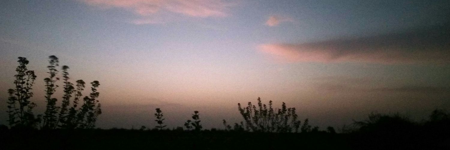 Parth Bapodariya banner