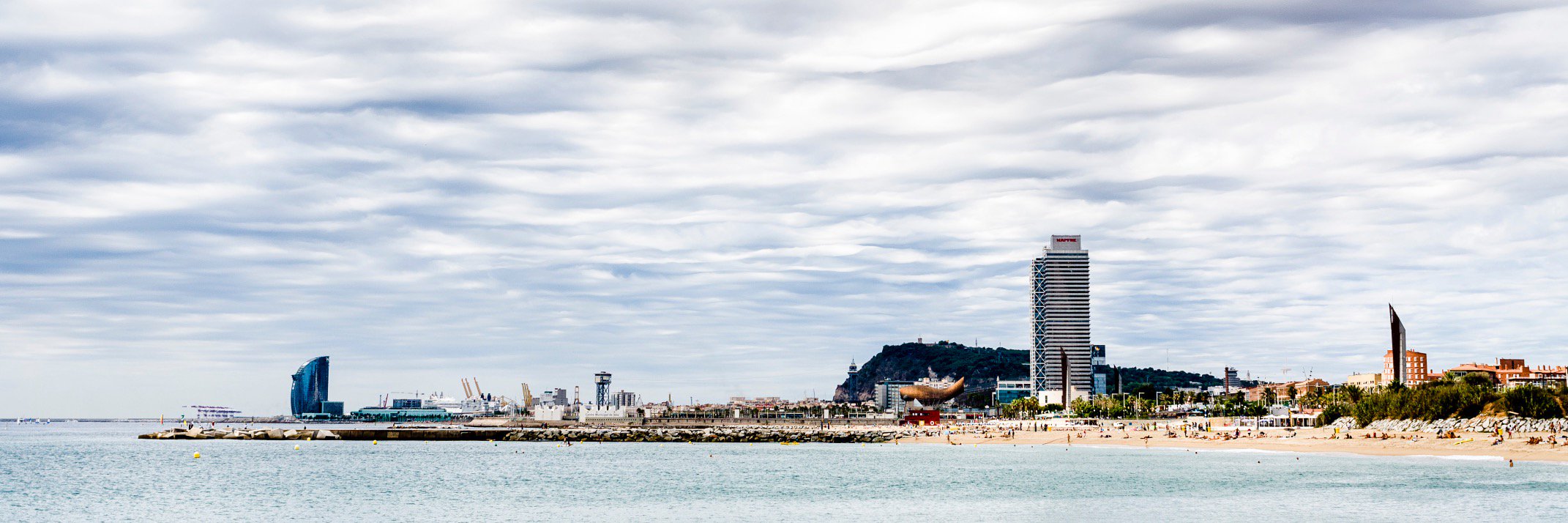 Miguel López Mallach banner