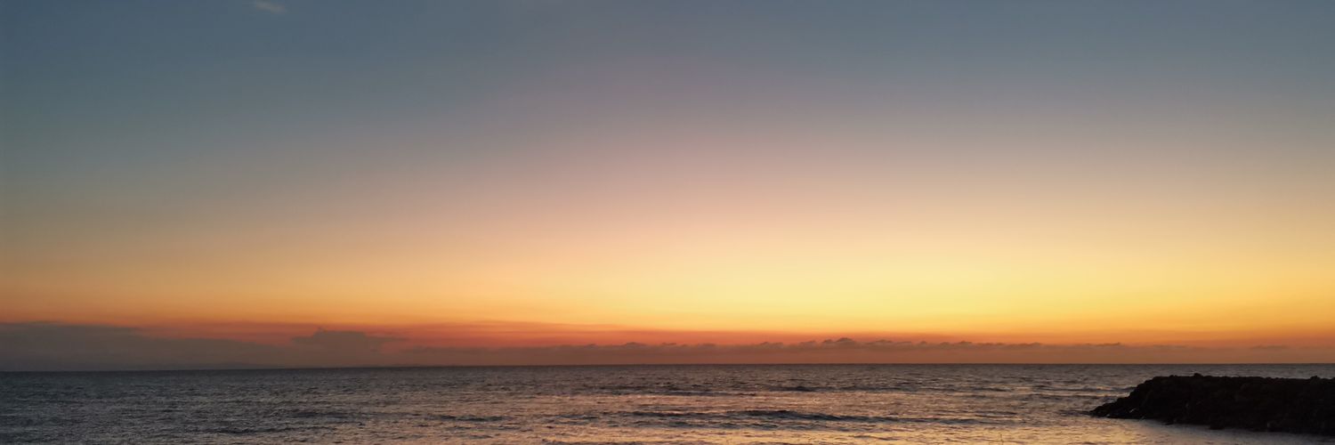 rhonrhoniol's profile banner image