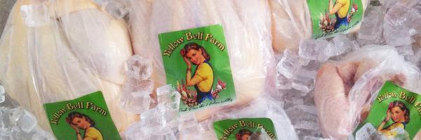 YellowBellFarm Profile Banner