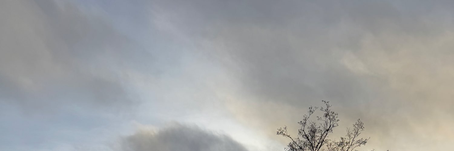 MrsCooke13's profile banner image