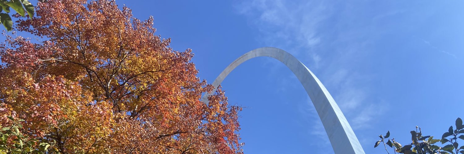 cat_beaver's profile banner image