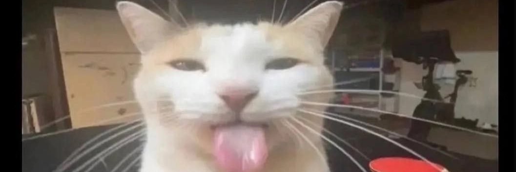 Jakobobbi's profile banner image