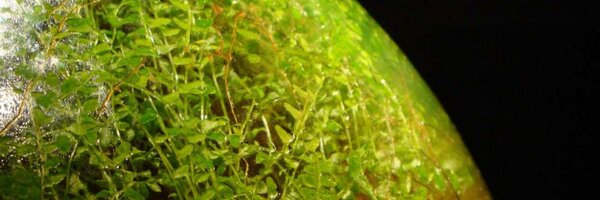 ekocentrum_se Profile Banner