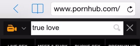CamBush's profile banner image