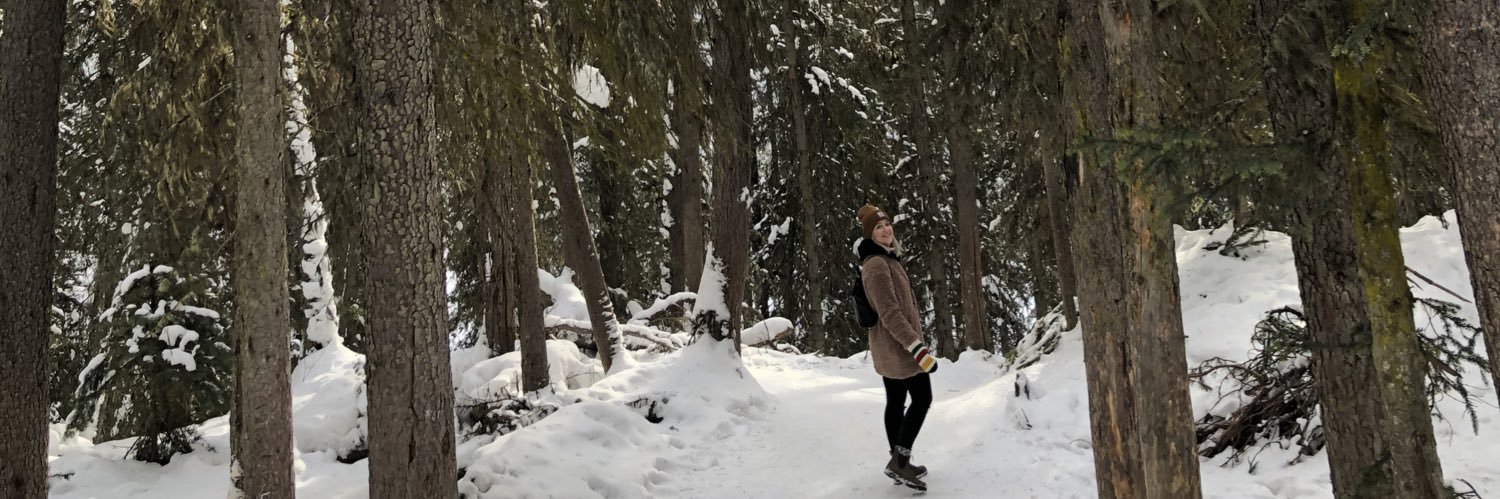 Elidesau21's profile banner image