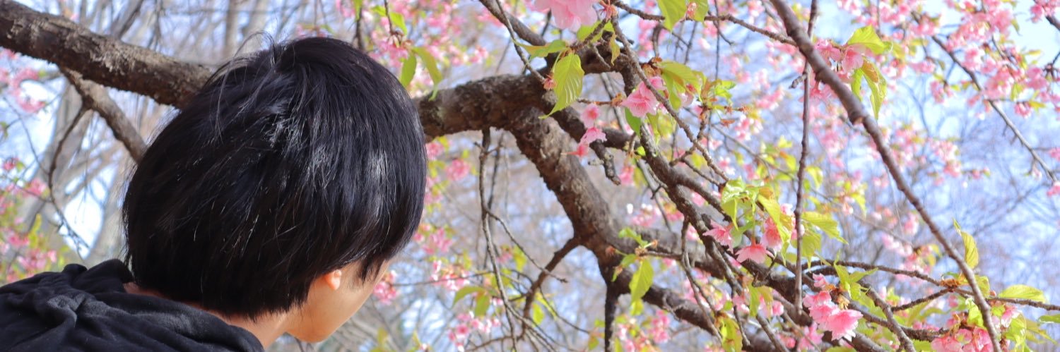 forcusk's profile banner image