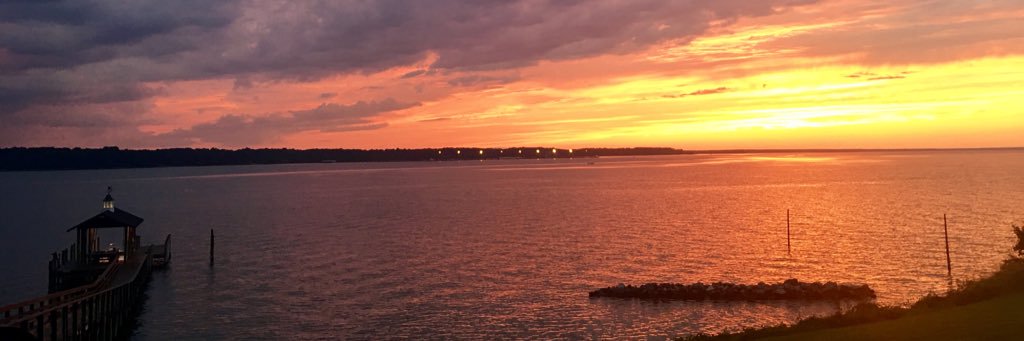 Dr. Kelli Bynum banner