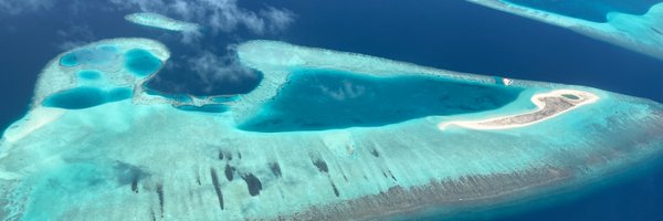 elfa_neus Profile Banner