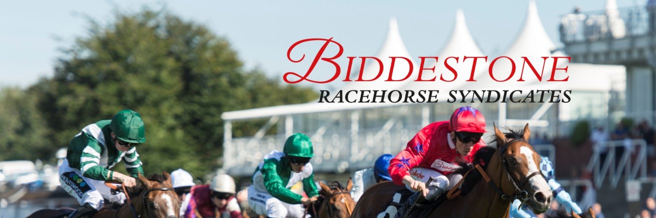biddestonestud's profile banner image