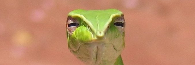 DebitNoCredit's profile banner image