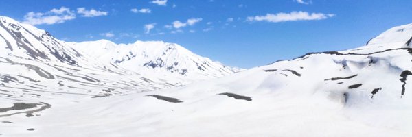 mohitmangal12 Profile Banner