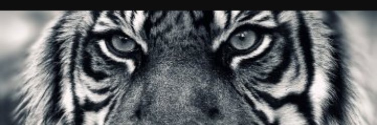 Slim_Chaney's profile banner image