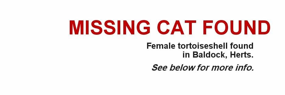 LostCatBaldock's profile banner image