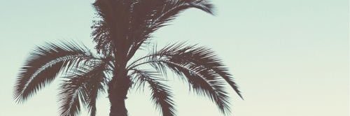 livilu7's profile banner image