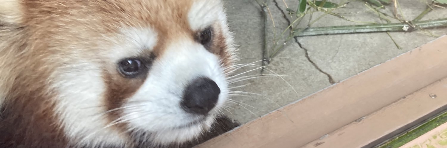 chu_chan814's profile banner image
