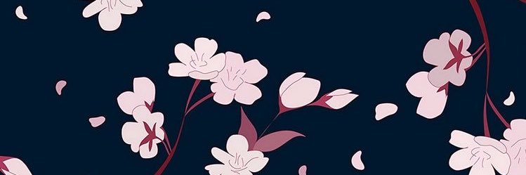 nataliahp16's profile banner image
