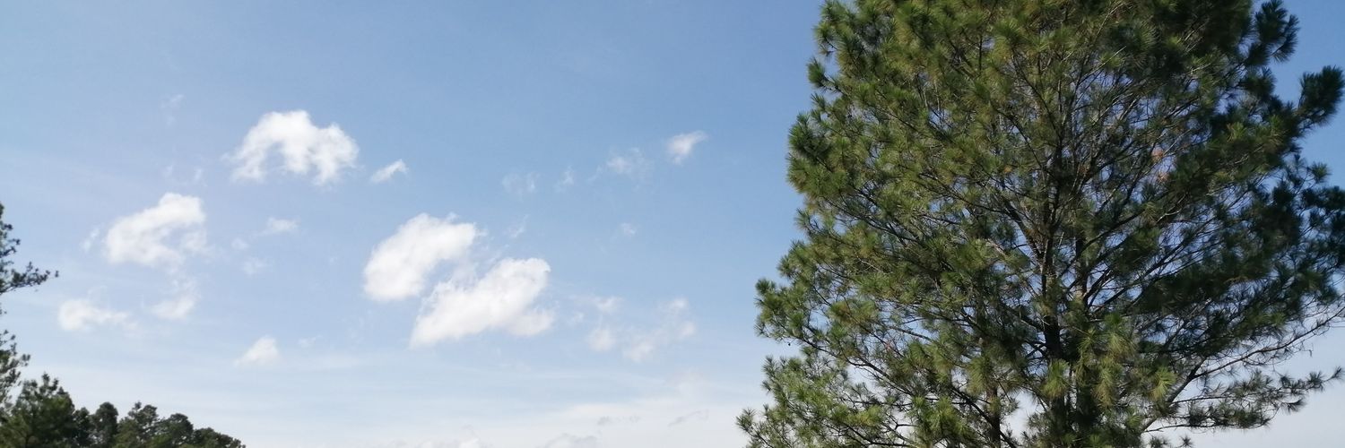 Rosmari Veloz Felix♥ banner