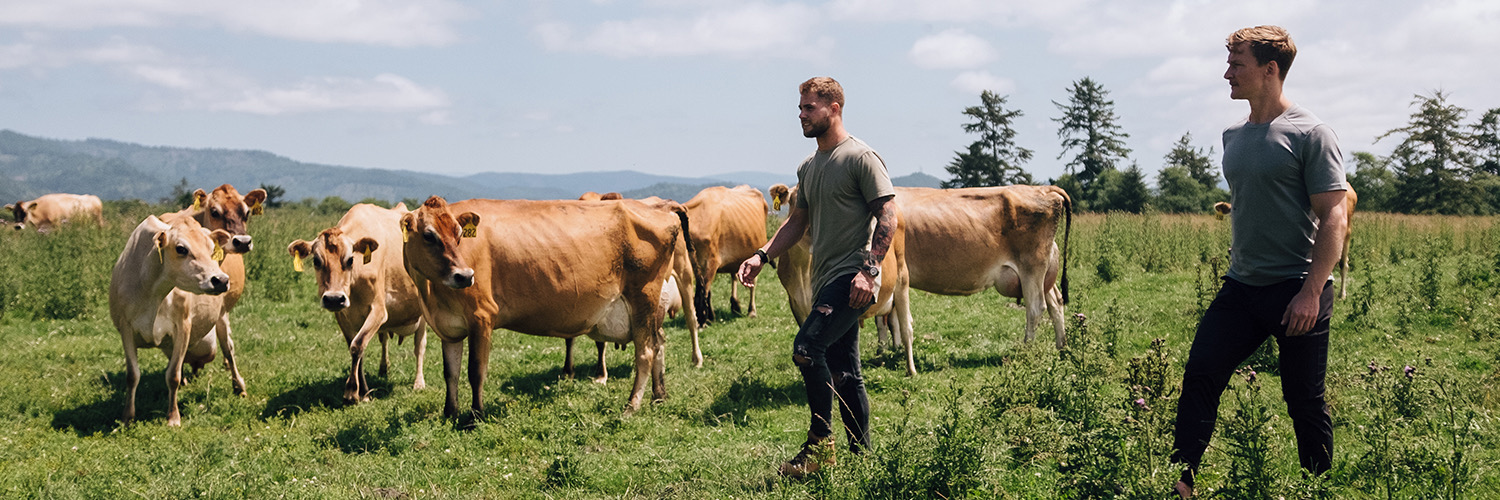 PROMIX Nutrition banner