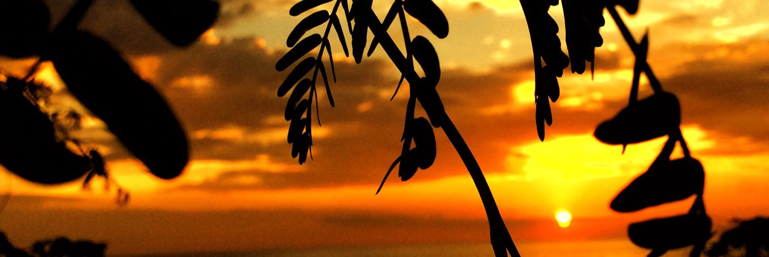 wesguardd's profile banner image
