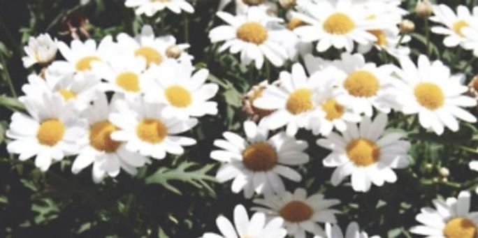 gdrtheo's profile banner image
