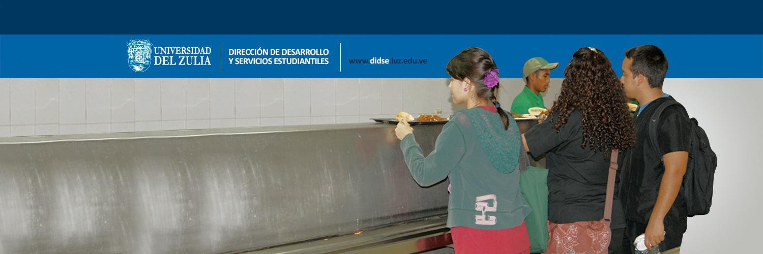 LUZ Didse banner