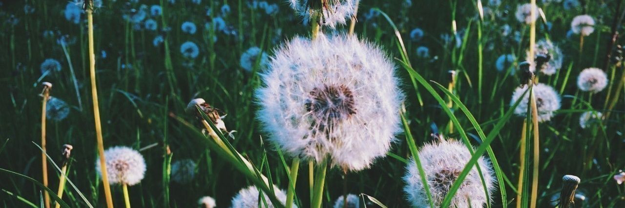elen__k's profile banner image