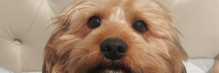 shineinpark's profile banner image