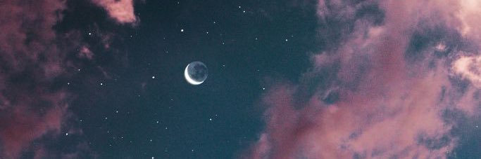 thugwaja's profile banner image