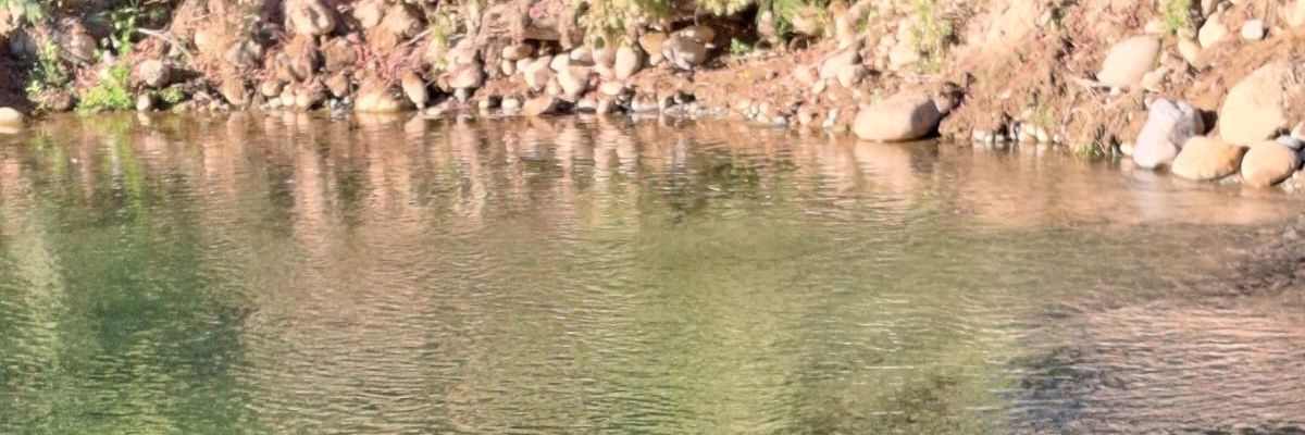 Maxsebastianh's profile banner image