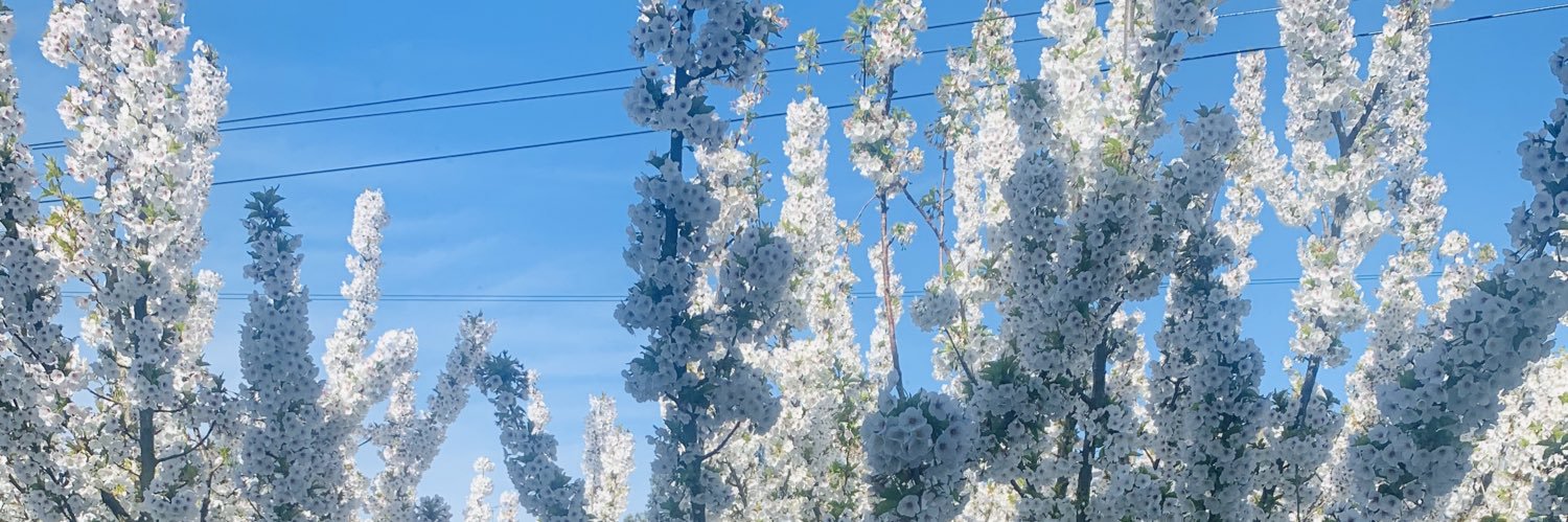 sheenabas42's profile banner image