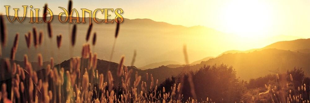WildDancesRPG's profile banner image