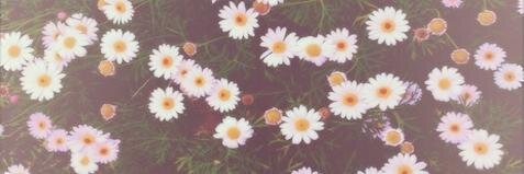 kimbcrry's profile banner image