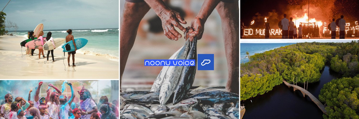 NoonuDaily's profile banner image