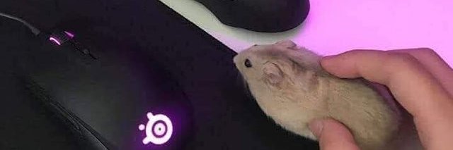Godo banner