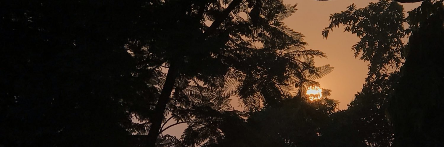 RidaShayk's profile banner image