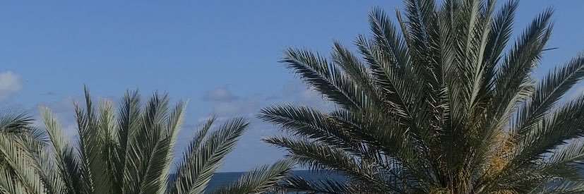 ayeedottee's profile banner image