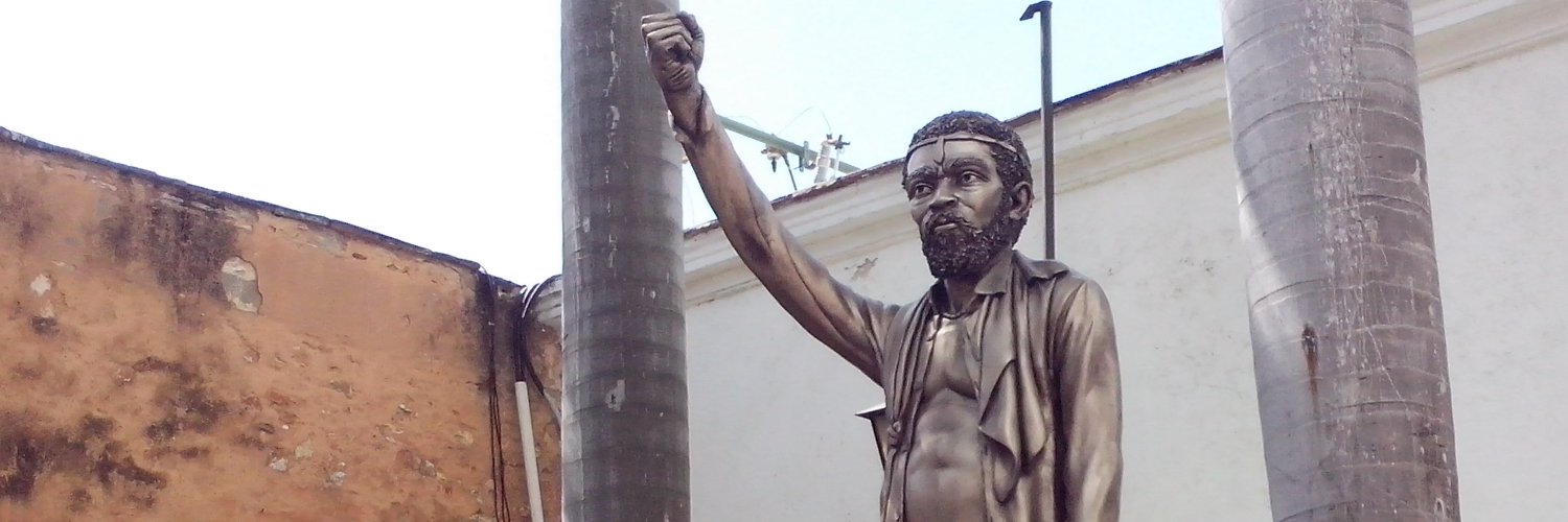 Acción Afro-Dominicana's banner