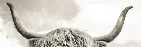 Shnailer's profile banner image