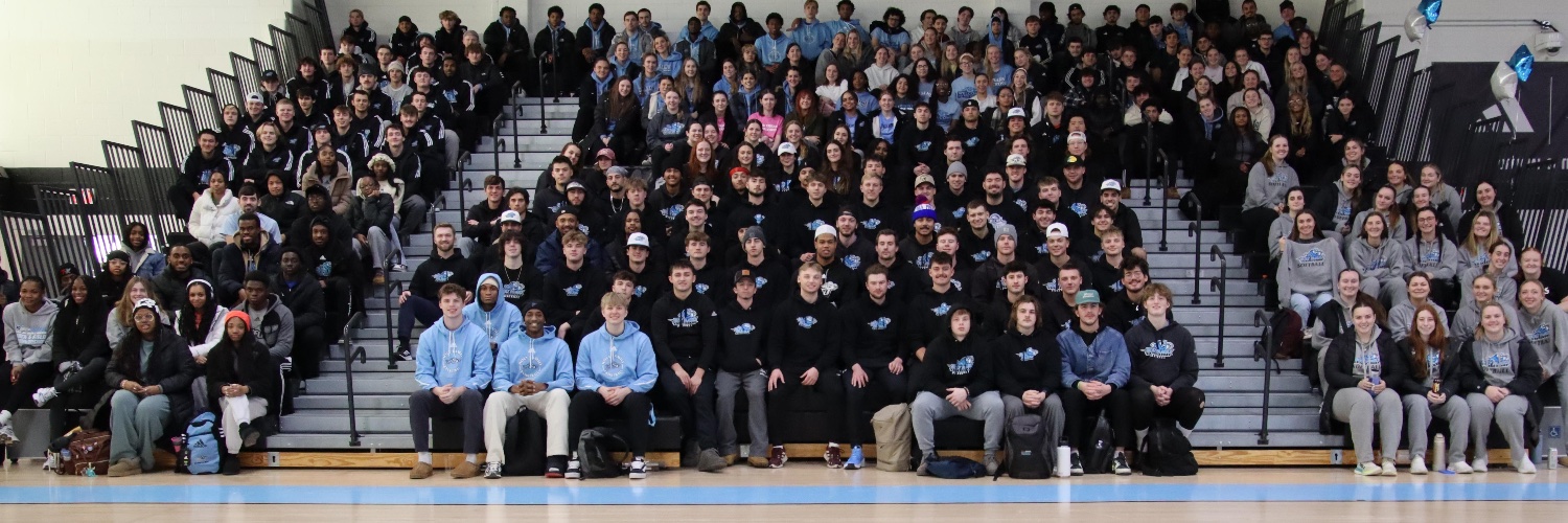 Holy Family Tigers banner