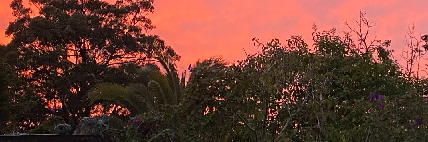 meljlewis's profile banner image