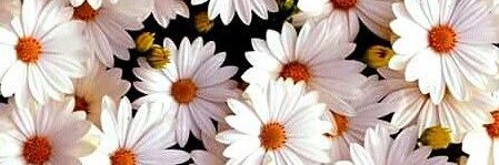 BerniAzpiroz's profile banner image