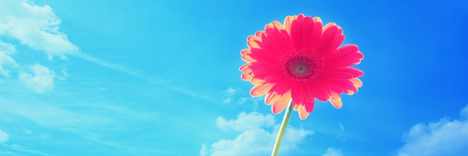 MaViMarcanoV's profile banner image