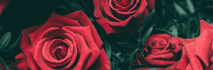 onlymischi's profile banner image