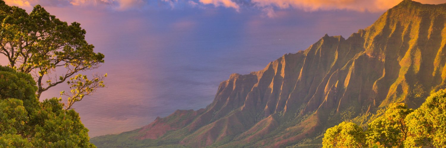 Sandra Moerch banner