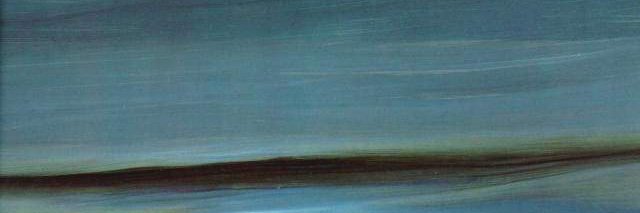 Lieven D'hoore banner