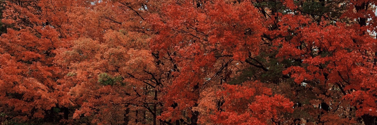 Steffanniiaa's profile banner image