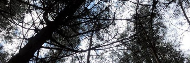miladismeneses's profile banner image