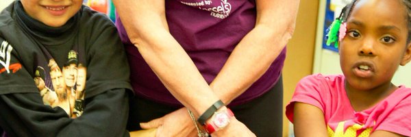 Partners In School Innovation